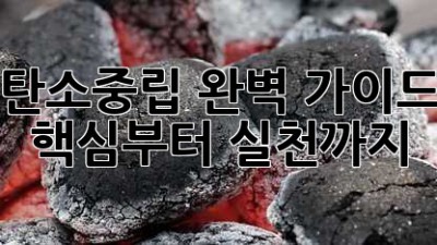 탄소중립 완벽 가이드: 핵심부터 실천까지